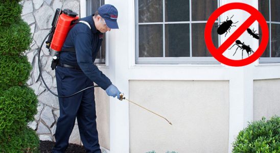 Karapürçek Hamam Böceği İlaçlama böcek ilaçlama ve haşere kontrolü — ilaclama-tr.com